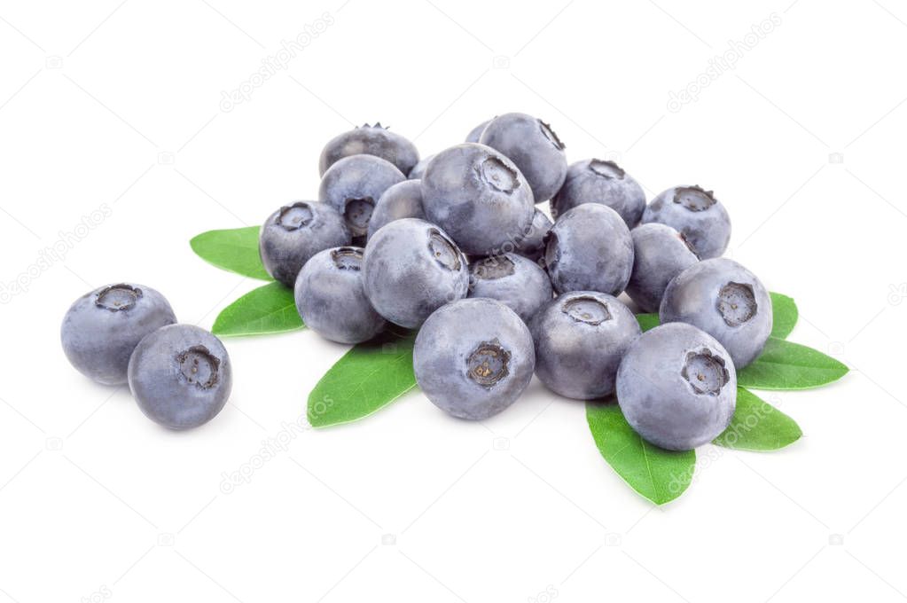 Blue berry isolated on a white background cutout