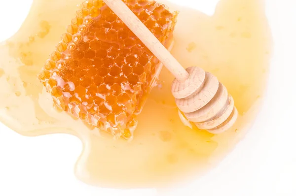 Mézelő méh elszigetelt fehér háttér kivágás — Stock Fotó