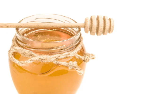 Honey bee isolated on a white background cutout — Stock Photo, Image