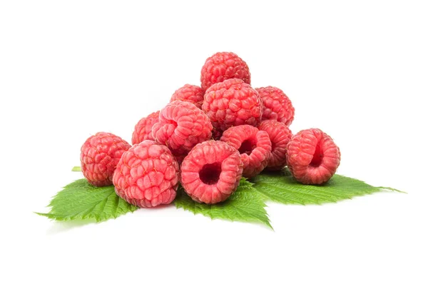 Rubusberry 흰색 배경 컷아웃에 고립 — 스톡 사진