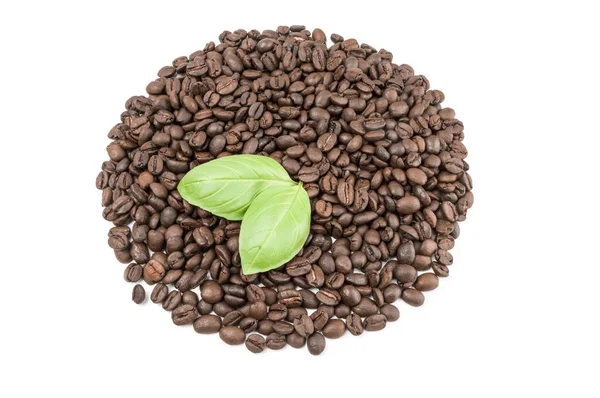 Brown coffee beans on a white background. Clipping path — Stock Photo, Image