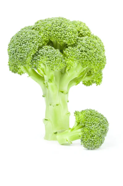 Friss zöld brokkoli elszigetelt fehér háttér kivágás — Stock Fotó