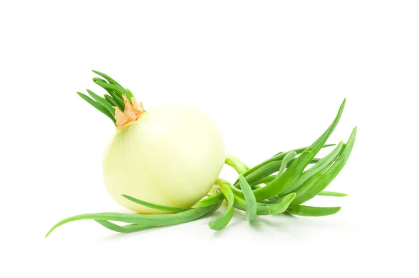 Onion isolated on a white background cutout — Stock Photo, Image