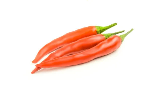 Piros chili paprika izolált fehér alapon — Stock Fotó