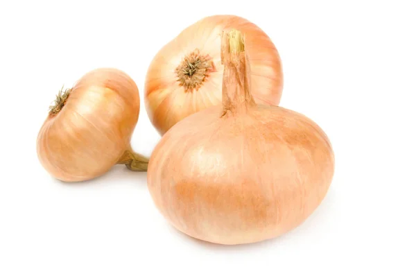Onion isolated on a white background with clipping path — Stock Photo, Image