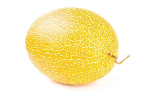 Yellow melon isolated on a white background cutout — Stock Photo, Image