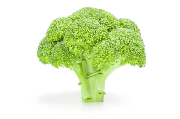 Broccoli floret isolated on a white background cutout — Stock Photo, Image