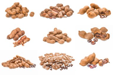 Tamarind seti beyaz arkaplan kesiminde izole edildi