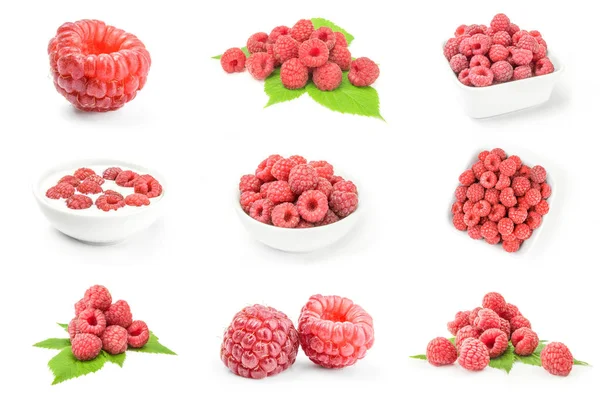 Conjunto de frutas de framboesa em um fundo branco — Fotografia de Stock