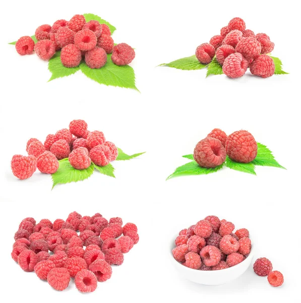 Set Juicy Raspberry White Background Cutout — Stock Photo, Image