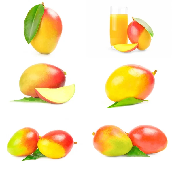 Raccolta di mango rosso isolato su bianco — Foto Stock