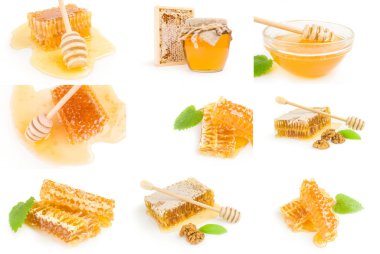 Bal arısı grubu beyaz arka planda izole edildi