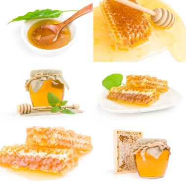 Bal arısı koleksiyonu beyaz arkaplan kesiminde izole edildi