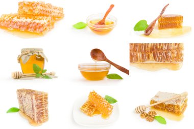 Beyaz arkaplanda izole edilmiş tatlı bal koleksiyonu