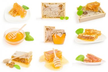 Beyaz zemin üzerine bal grup