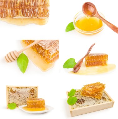 Beyaz arkaplanda izole edilmiş tatlı bal kolajı