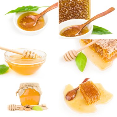 Bal arısı kolajı beyaz arkaplan kesiminde izole edildi