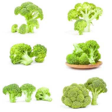 Bir grup taze brokoli lideri beyaz bir kesitte izole edilmiş.