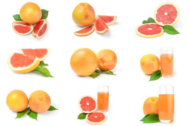 Beyaz arkaplan üzerinde izole edilmiş greyfurt grubu