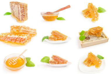 Beyaz arka planda izole edilmiş bir bal arısı kümesi