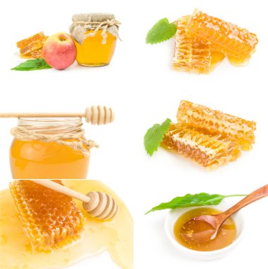 Bal arısı kolajı beyaz arkaplan kesiminde izole edildi