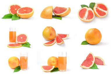 Greyfurt koleksiyonu beyaz bir kesitte izole edilmiş.