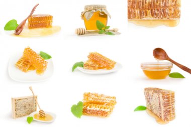 Bal arısı topluluğu