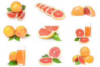 Greyfurt beyaz zemin üzerine kolaj