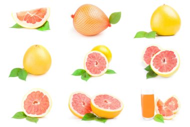 Beyaz bir arka plan üzerinde izole shaddock topluluğu