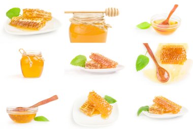 Beyaz arka planda izole edilmiş bir bal arısı kümesi