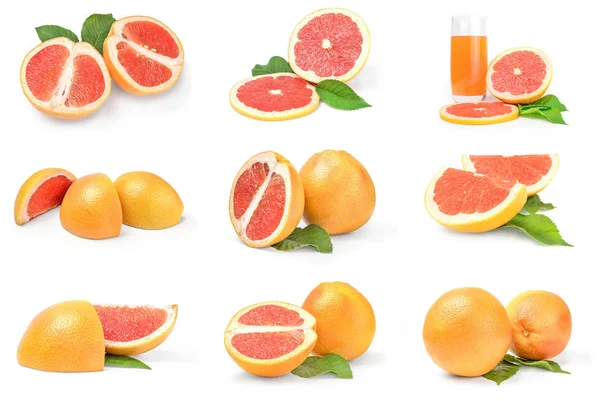 Beyaz arkaplan kırpma yolu üzerinde greyfurt grubu