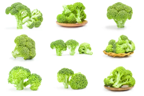 Friss zöld brokkoli csoport fehér alapon — Stock Fotó