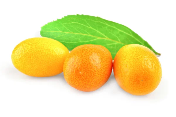 Sitrus Kumquat pada potongan latar belakang putih — Stok Foto