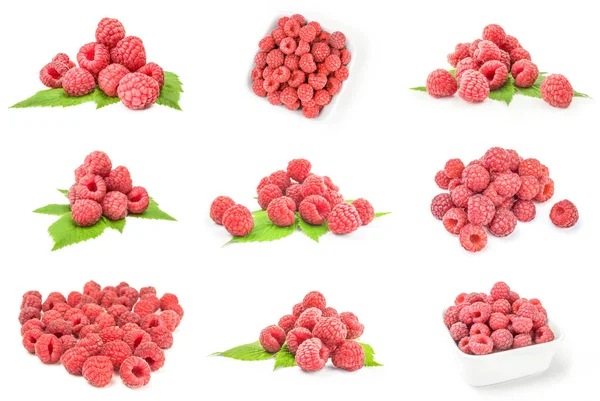 Collage of rasp berry isolated on a white background with clipping path — Stock Photo, Image