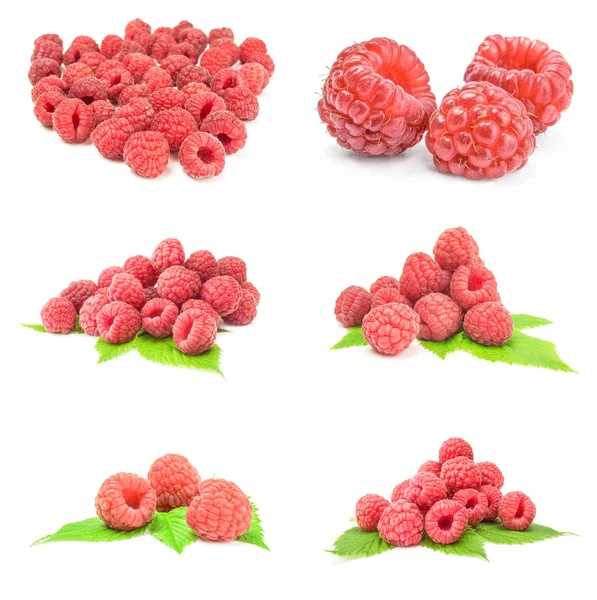 Collage Ripe Red Raspberries White — Stock Photo, Image