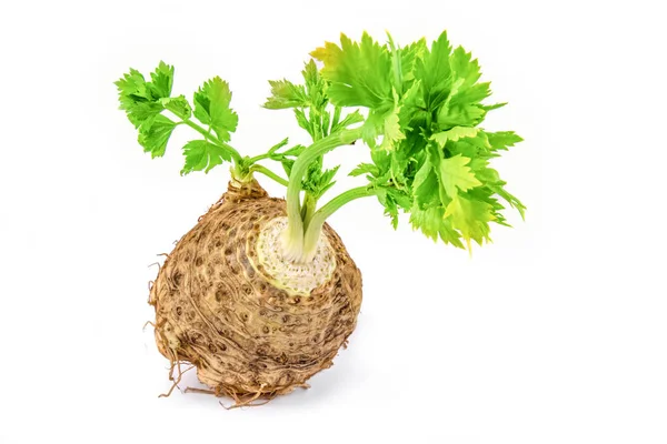 Čerstvý celer s kořenovou list na bílém pozadí — Stock fotografie