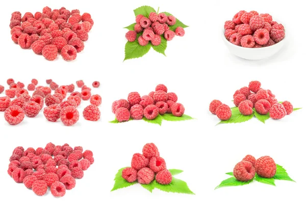 Gruppe Von Preiselbeeren Auf Einem Hintergrund — Stockfoto