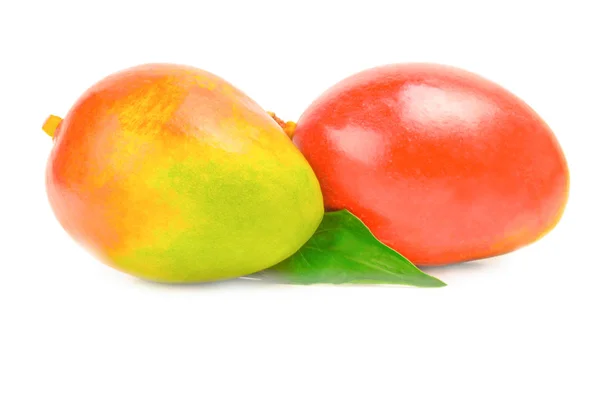 Mango rot isoliert auf weißem Hintergrund — Stockfoto