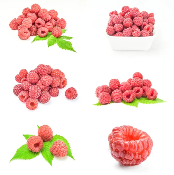 Set of raspberry fruit isolated on a white background cutout — Stock Photo, Image