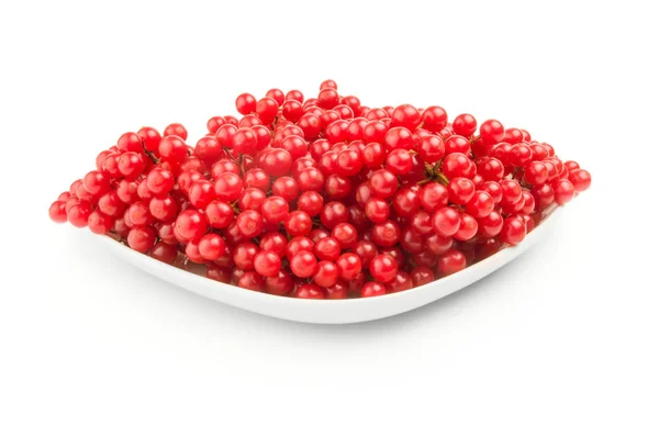 Viburnum berries over a white background — Stock Photo, Image