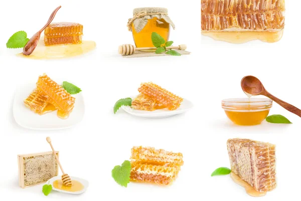 Bal arısı topluluğu