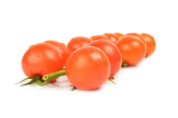 Tomate isolée sur fond blanc découpe — Photo