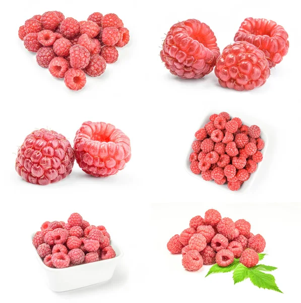 Reihe von reifen Himbeeren isoliert auf weiß — Stockfoto