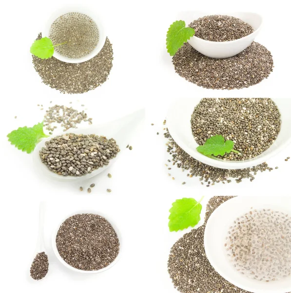 Conjunto de sementes de chia — Fotografia de Stock