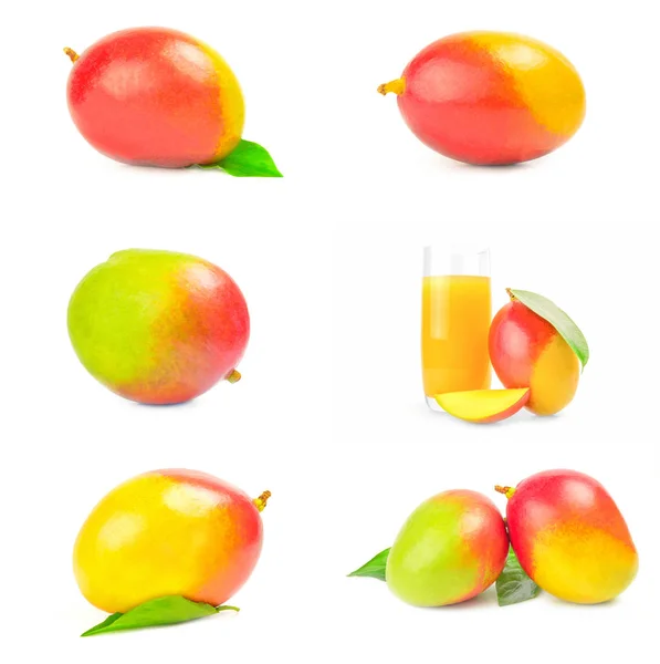 Collage van rode mango op een afgelegen witte achtergrond — Stockfoto