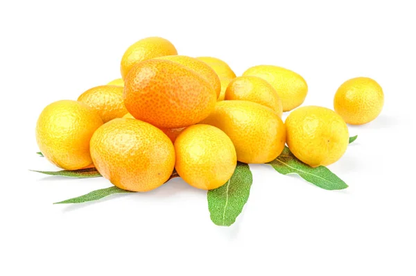 Kumquat (Kreuzkümmel) mit Blättern auf weißem Hintergrund — Stockfoto