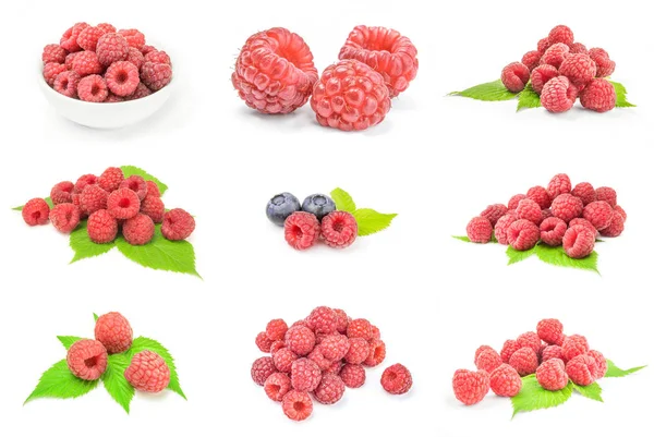 Set of sweet raspberry on white — Stock Photo, Image