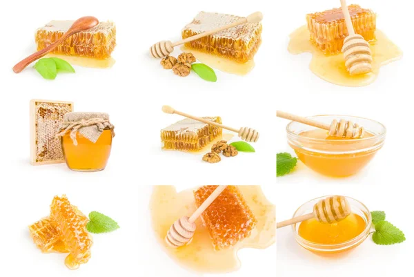 Bal arısı grubu beyaz arka planda izole edildi