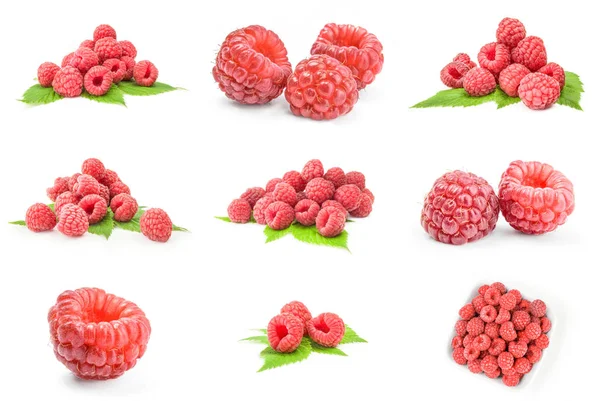 Collage of raspberry fruit isolated over a white background — Stock Photo, Image