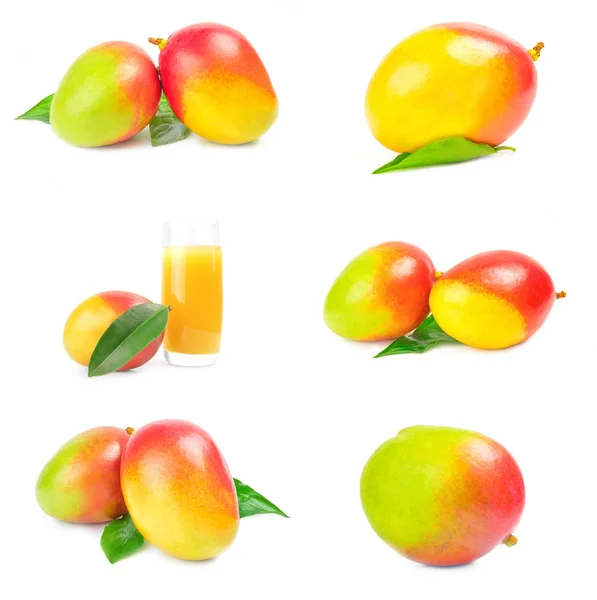 Insamling av röd mango isolerad på en vit bakgrund cutout — Stockfoto